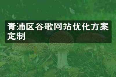 青浦区谷歌网站优化方案定制