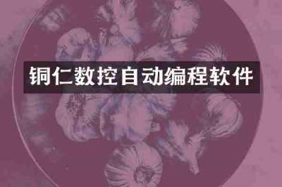 铜仁数控自动编程软件