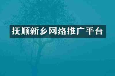 抚顺新乡网络推广平台