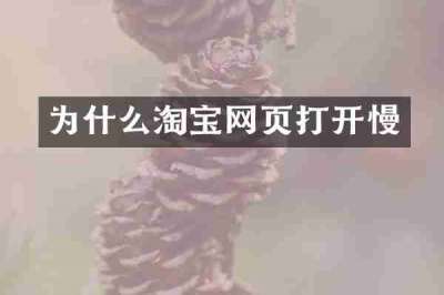 为什么淘宝网页打开慢