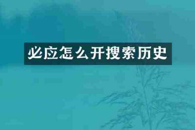 必应怎么开搜索历史