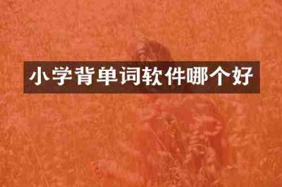 小学背单词软件哪个好