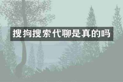 搜狗搜索代聊是真的吗