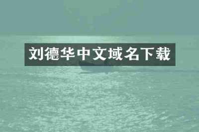 刘德华中文域名下载