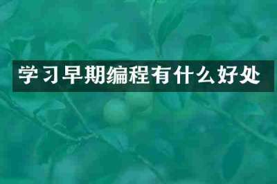 学习早期编程有什么好处