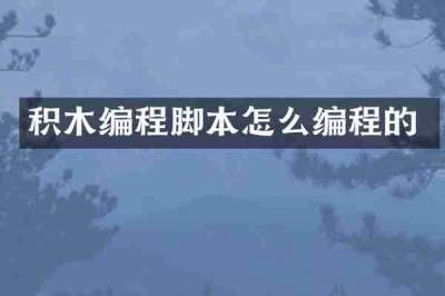 积木编程脚本怎么编程的