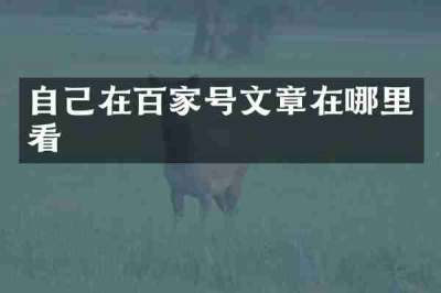 自己在百家号文章在哪里看