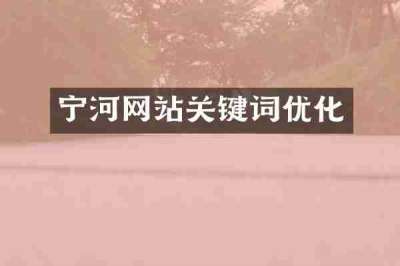 宁河网站关键词优化