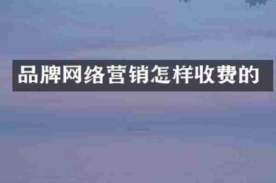 品牌网络营销怎样收费的