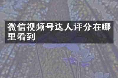 微信视频号达人评分在哪里看到