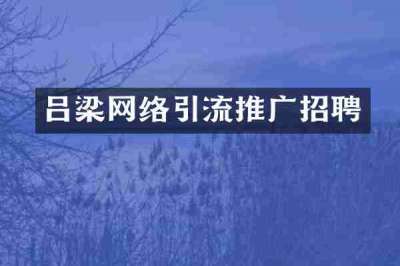 吕梁网络引流推广招聘