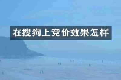 在搜狗上竞价效果怎样