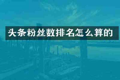 头条粉丝数排名怎么算的