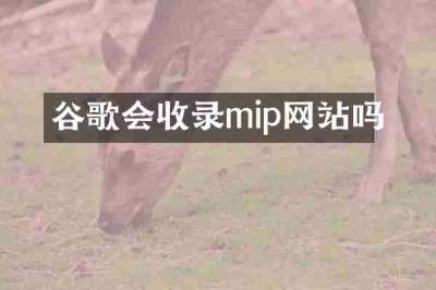 谷歌会收录mip网站吗