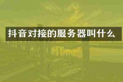 抖音对接的服务器叫什么