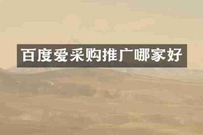百度爱采购推广哪家好
