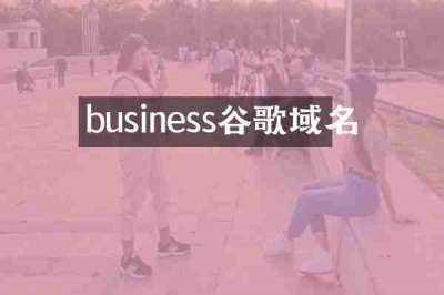 business谷歌域名