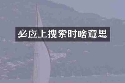 必应上搜索时啥意思