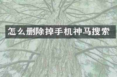 怎么删除掉手机神马搜索