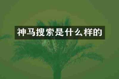 神马搜索是什么样的
