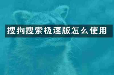 搜狗搜索极速版怎么使用