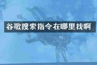 谷歌搜索指令在哪里找啊