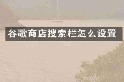 谷歌商店搜索栏怎么设置