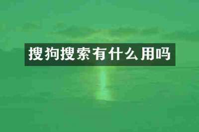 搜狗搜索有什么用吗