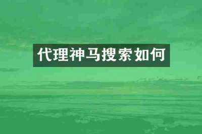 代理神马搜索如何