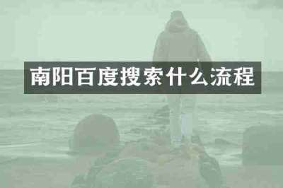 南阳百度搜索什么流程