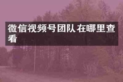 微信视频号团队在哪里查看