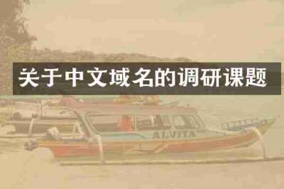 关于中文域名的调研课题