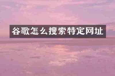 谷歌怎么搜索特定网址