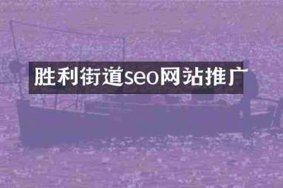 胜利街道seo网站推广