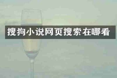 搜狗小说网页搜索在哪看