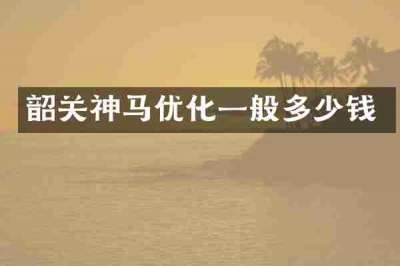 韶关神马优化一般多少钱