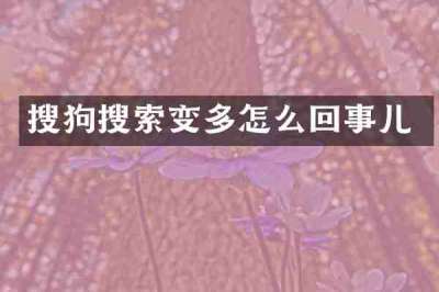 搜狗搜索变多怎么回事儿