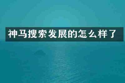 神马搜索发展的怎么样了