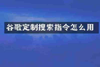 谷歌定制搜索指令怎么用