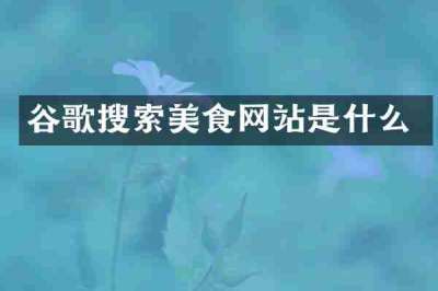 谷歌搜索美食网站是什么