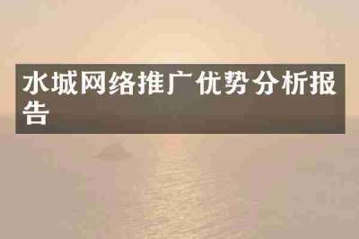 水城网络推广优势分析报告