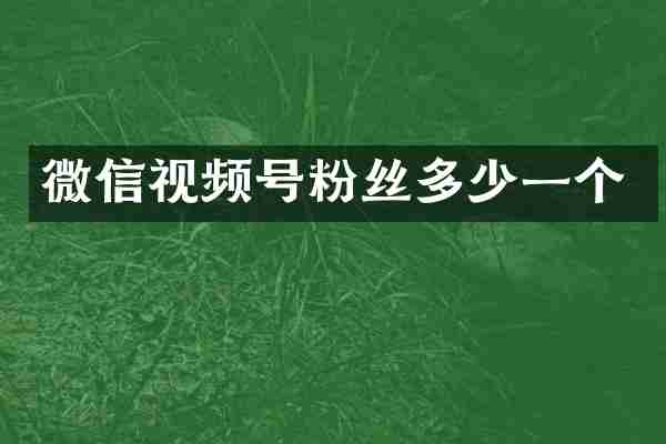微信视频号粉丝多少一个