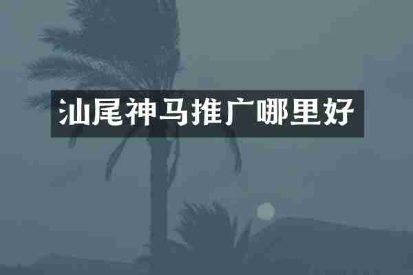 汕尾神马推广哪里好