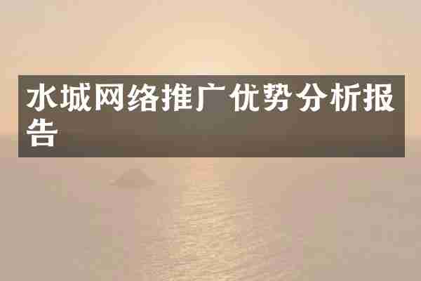 水城网络推广优势分析报告