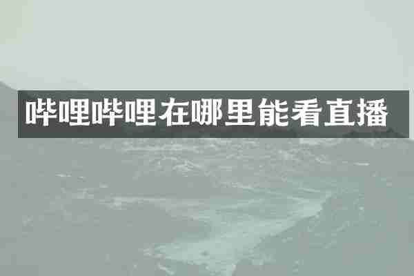 哔哩哔哩在哪里能看直播
