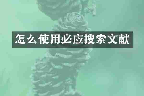 怎么使用必应搜索文献