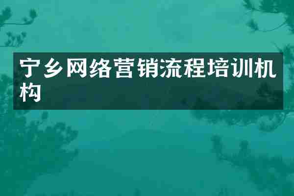 宁乡网络营销流程培训机构