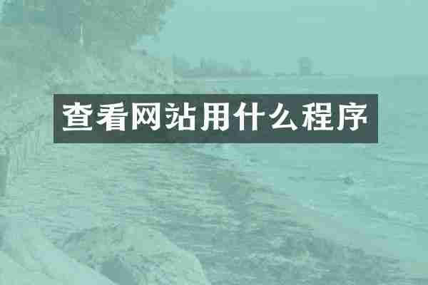 查看网站用什么程序