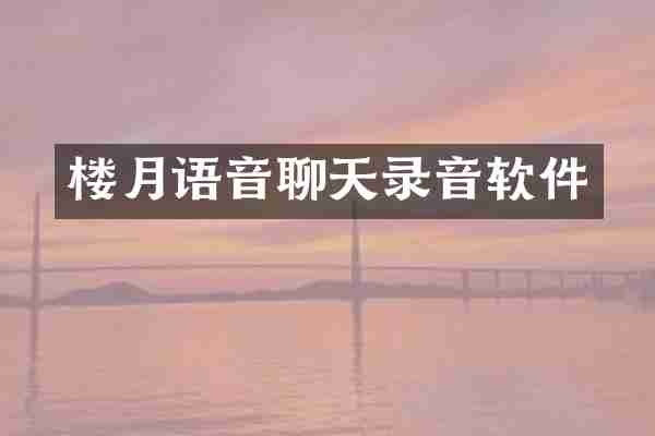 楼月语音聊天录音软件