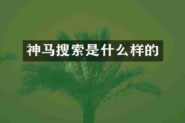 神马搜索是什么样的